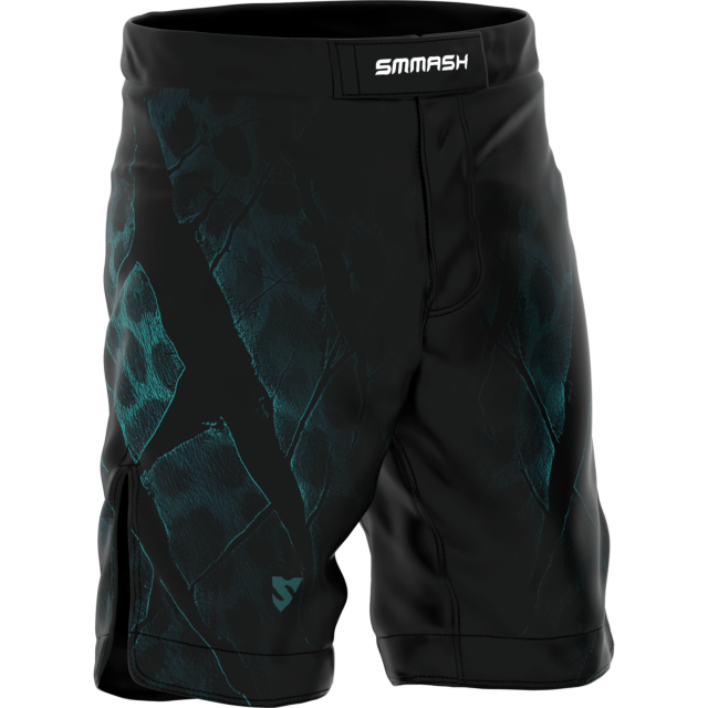 Short MMA homme